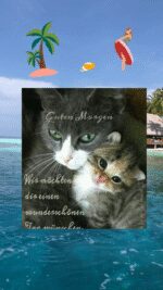Dienstag morgen 3