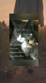 Donnerstag morgen 4
