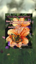Freitag morgen 4