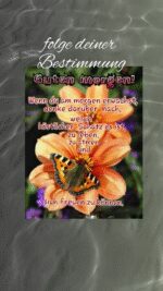 Sonntag morgen 4