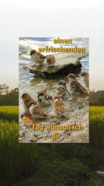 Freitag tag 3