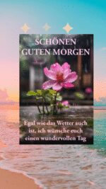 Dienstag morgen 5