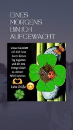 Mittwoch tag 4