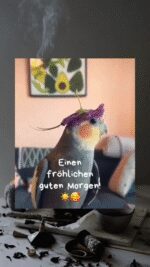 Sonntag morgen 5