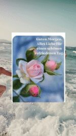 Dienstag morgen 3