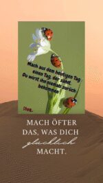 Donnerstag tag 4