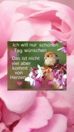 Sonntag tag 2