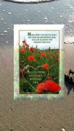 Mittwoch tag 5