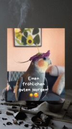 Sonntag morgen 5