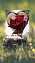 Montag morgen 5