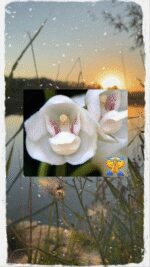 Mittwoch tag 6