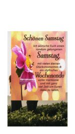 Samstag tag 5