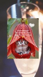 Mittwoch morgen 7