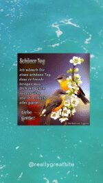 Freitag tag 5