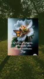 Dienstag morgen 7