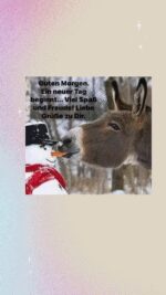 Donnerstag morgen 8