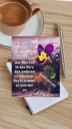 Sonntag morgen 8