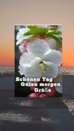Dienstag morgen 9