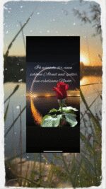 Sonntag abend 11