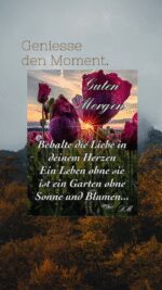 Mittwoch morgen 2