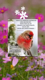 Donnerstag morgen 1
