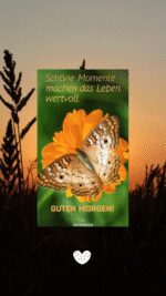 Montag morgen 3