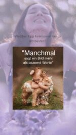 sonntag tag 3