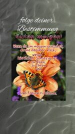 Sonntag morgen 4