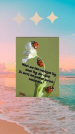 Sonntag tag 7