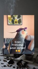 Sonntag morgen 5