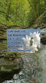Montag tag 6