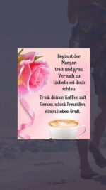 Mittwoch morgen 7
