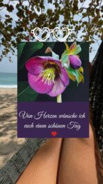 Donnerstag tag 8