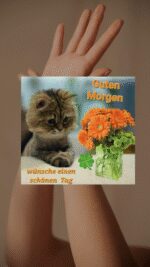 Samstag morgen 8