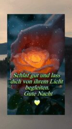 Sontag abend 6