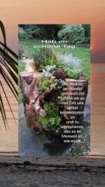 Mittwoch tag 8