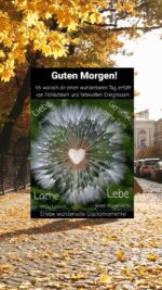 Guten Morgen Mittwoch