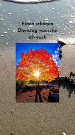 Dienstag tag 6