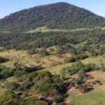 Profilbild von Benedikt Michale