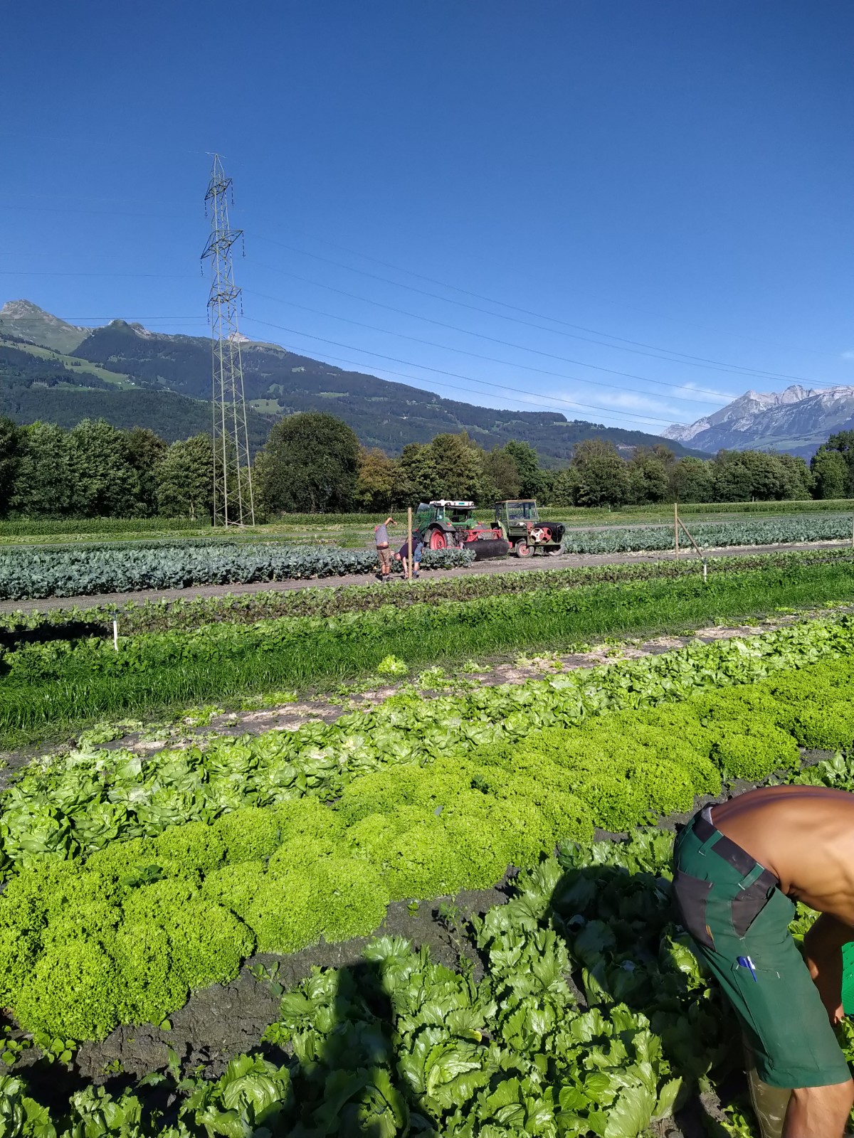 Gesundheit Wohlbefinden